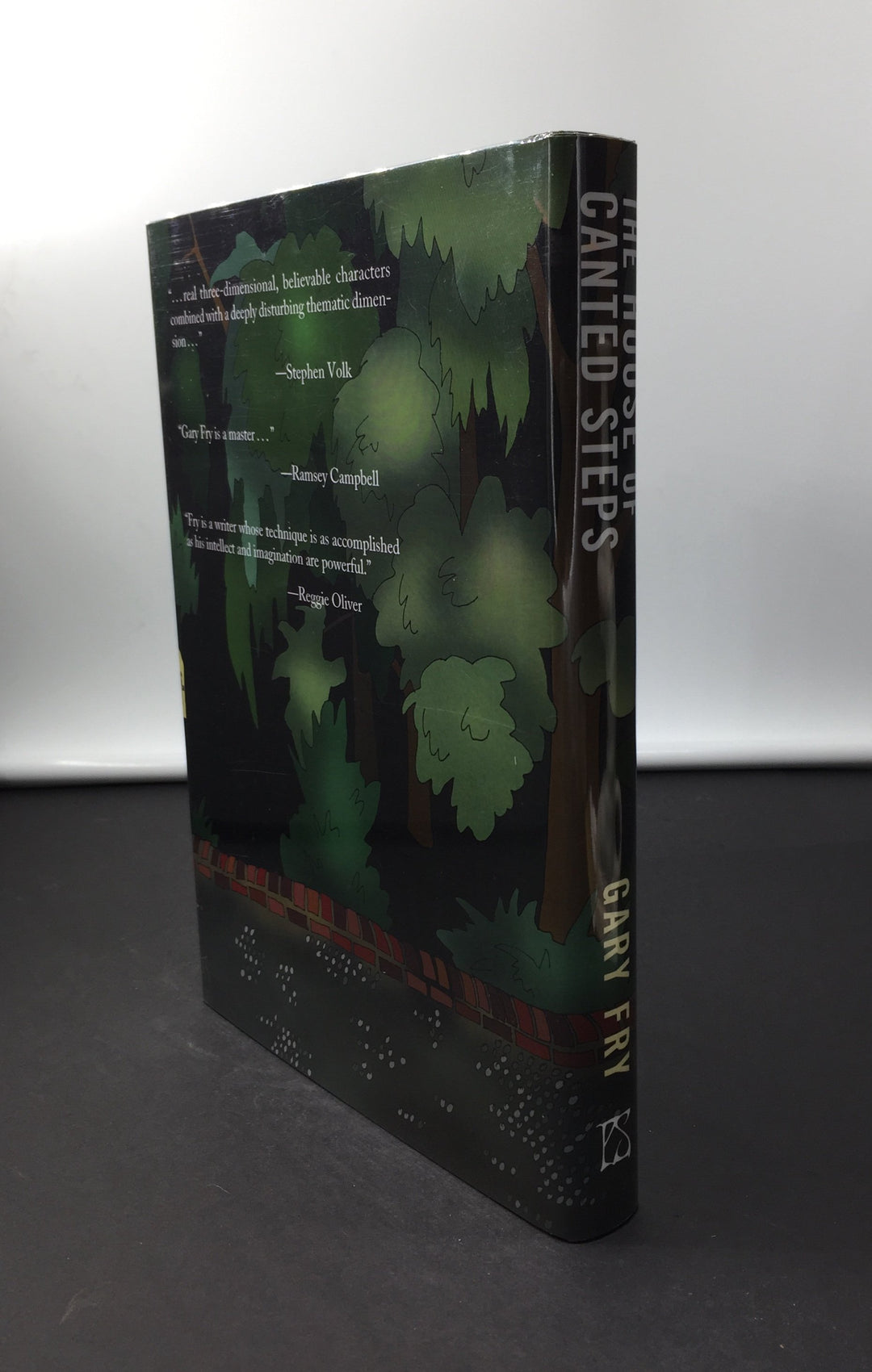 Fry, Gary - The House of Canted Steps | pages