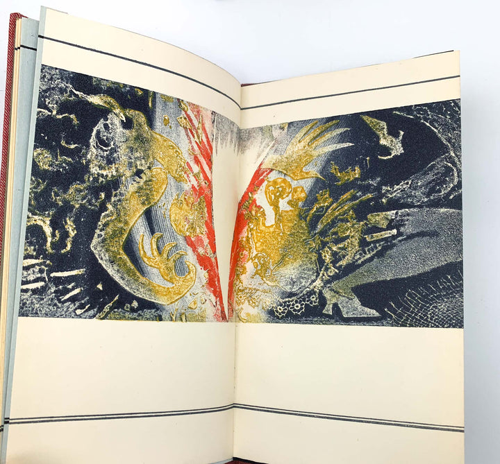 Cox, Morris - War in a Cock's Egg - SIGNED | book detail 7