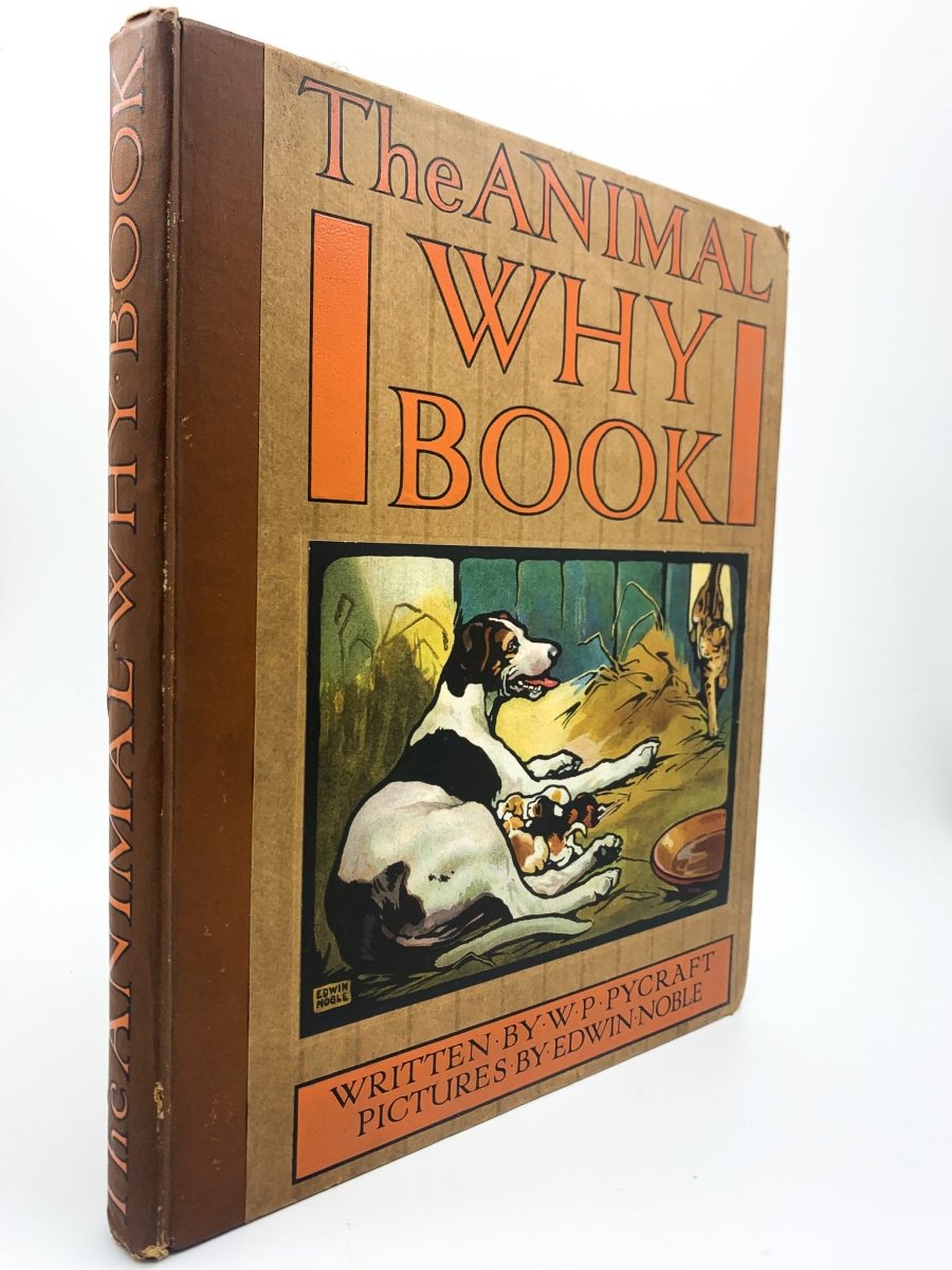 Pycraft, W P - The Animal Why Book | front cover. Published by Wells Gardner, Darton in 1909. Hardcover.  Condition:  Very Good ++/No Jacket