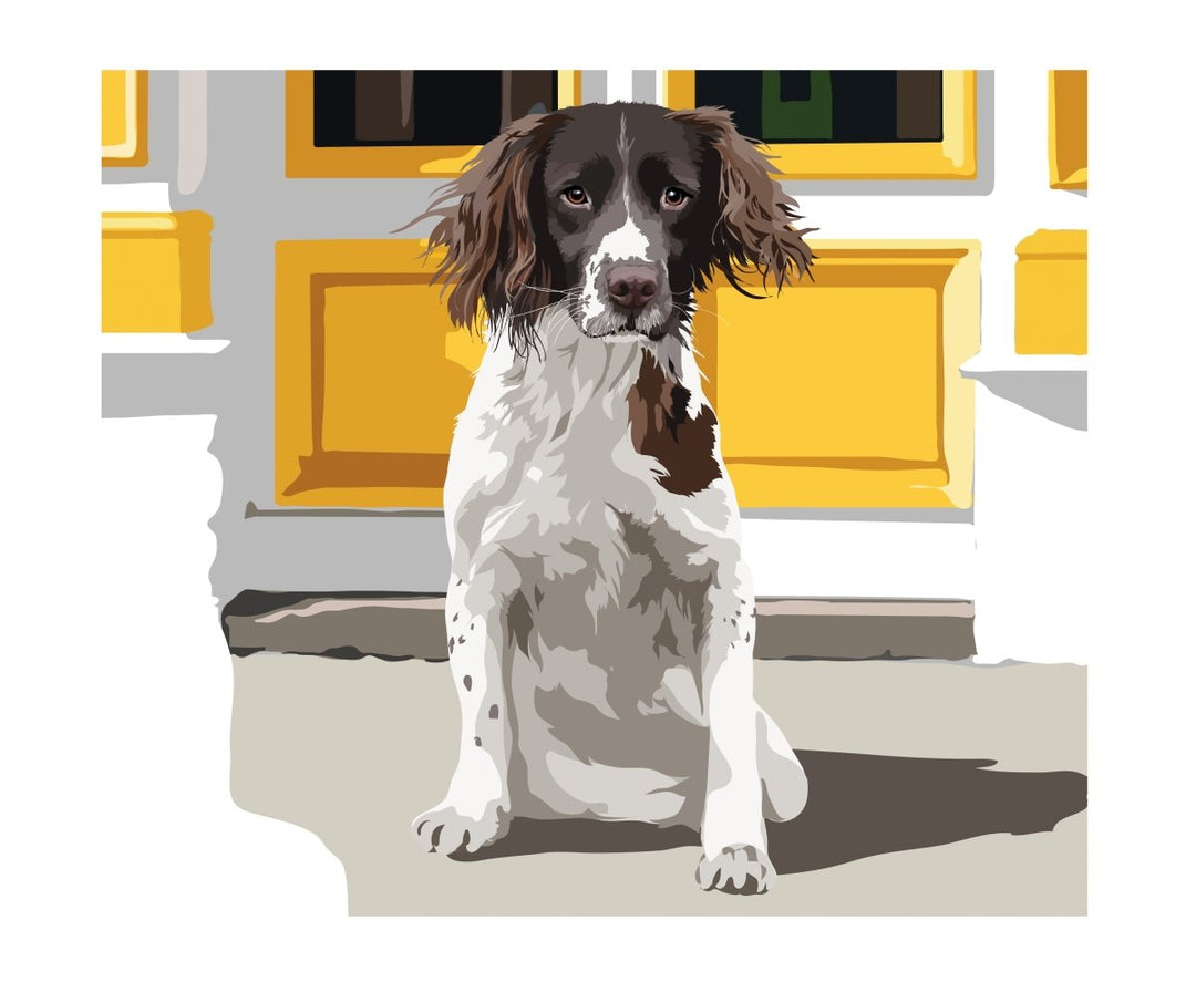 Springer Spaniel | image1 | Signed Limited Edtion Print