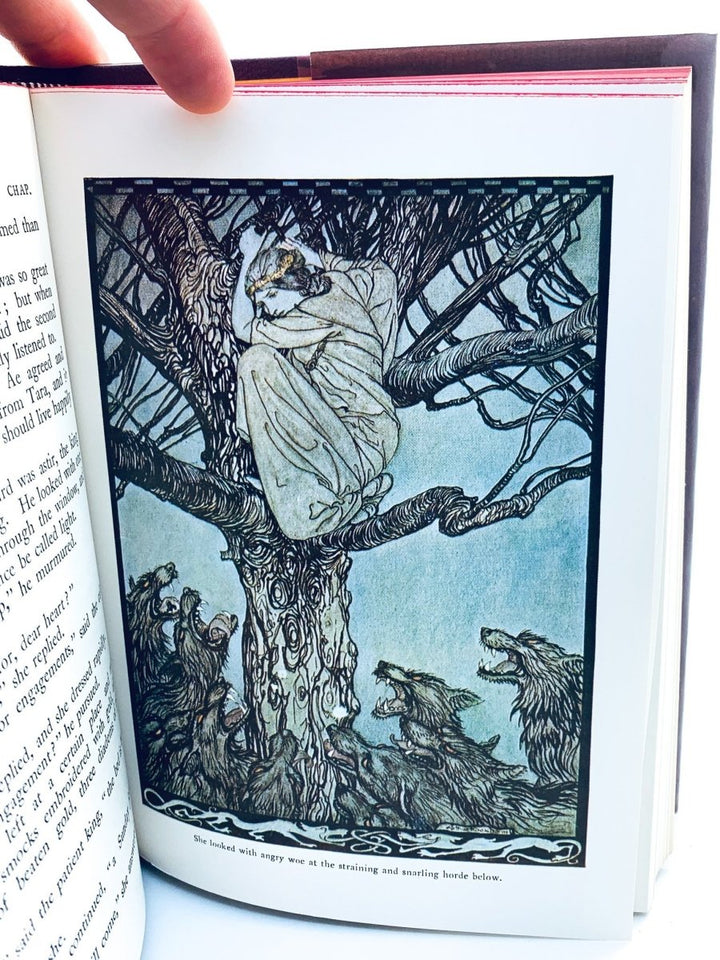 Stephens, James - Irish Fairy Tales | sample illustration