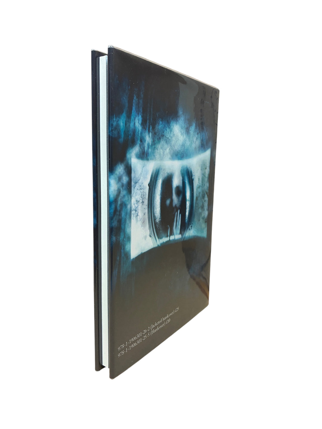 Lane, Joel - The Witnesses Are Gone - SIGNED