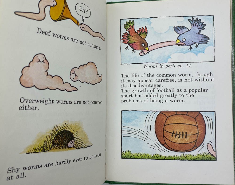 Ahlberg, Janet - The Little Worm Book | image2