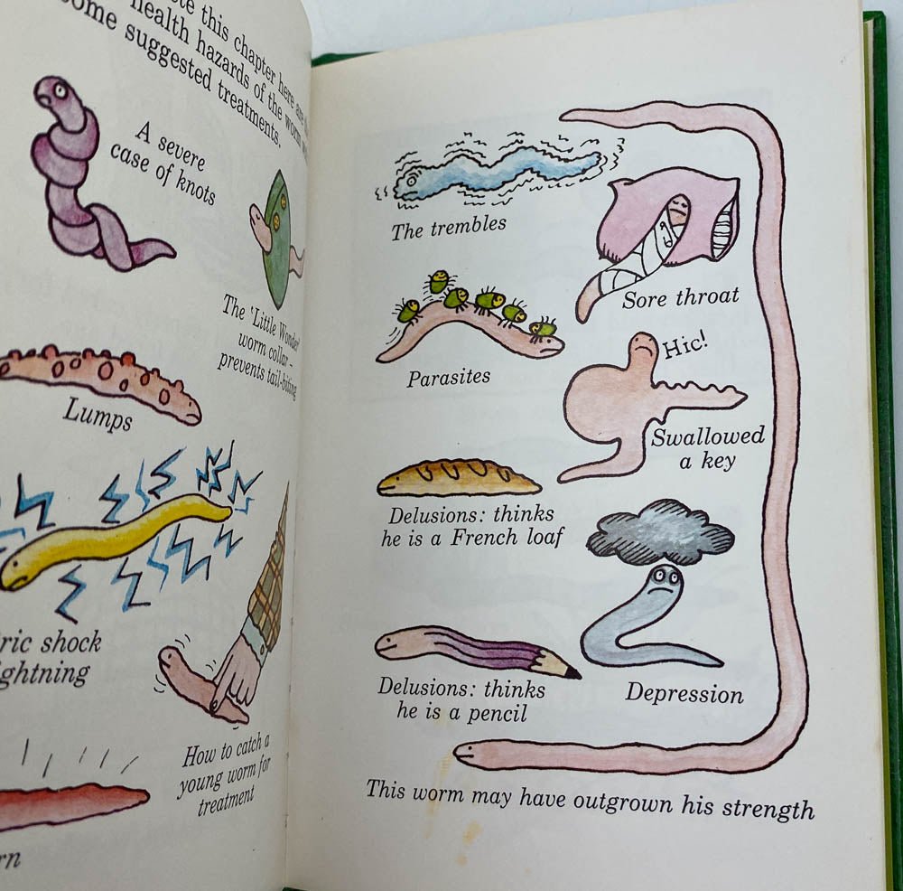 Ahlberg, Janet - The Little Worm Book - SIGNED | image3