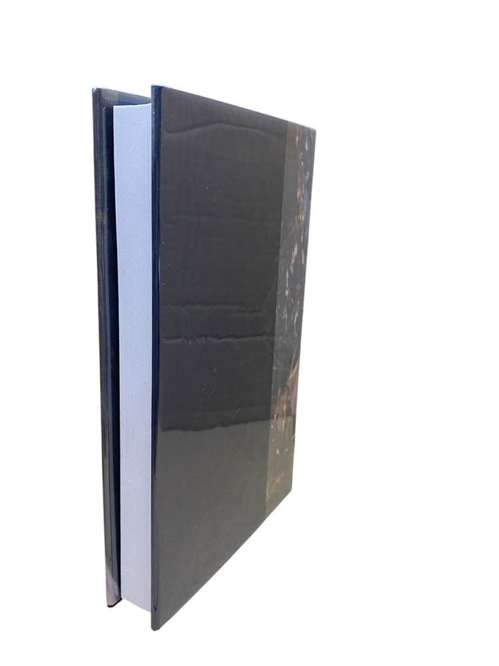Banville, John - Nightspawn | image2