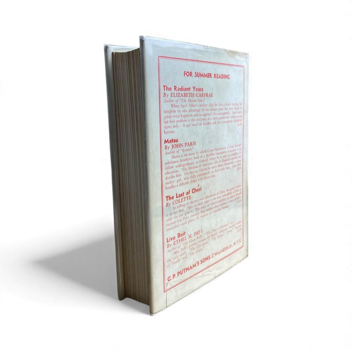 Bell, Neil - The Disturbing Affair of Noel Blake | image2