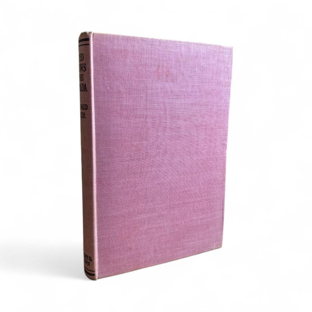 Bennett, Dorothea - Under the Skin | image4