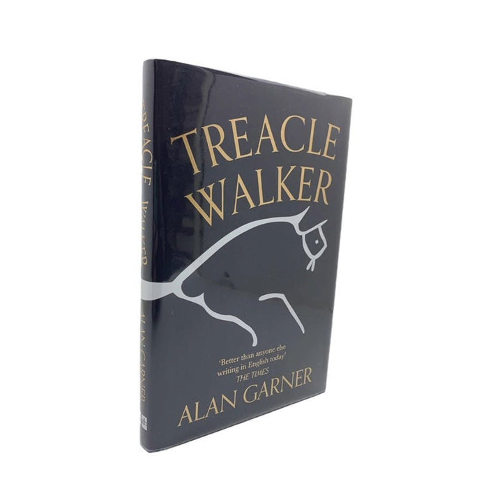 Garner, Alan - Treacle Walker | image1