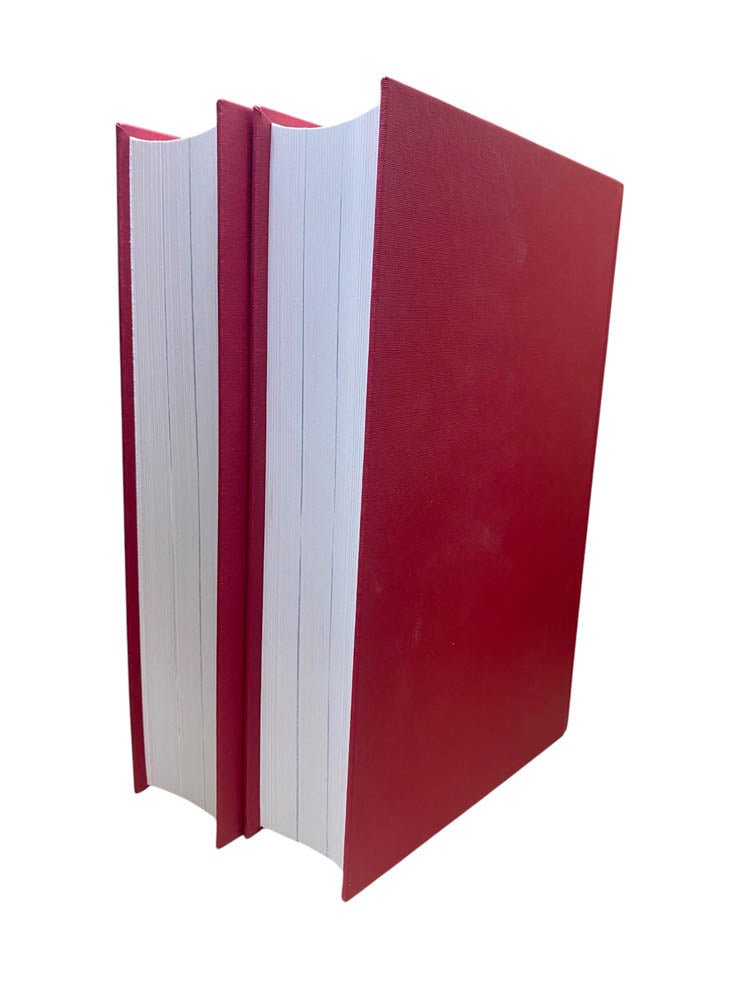 Shirer, William L. - The Rise and Fall of the Third Reich : a History of Nazi Germany - 2 volume set | image3