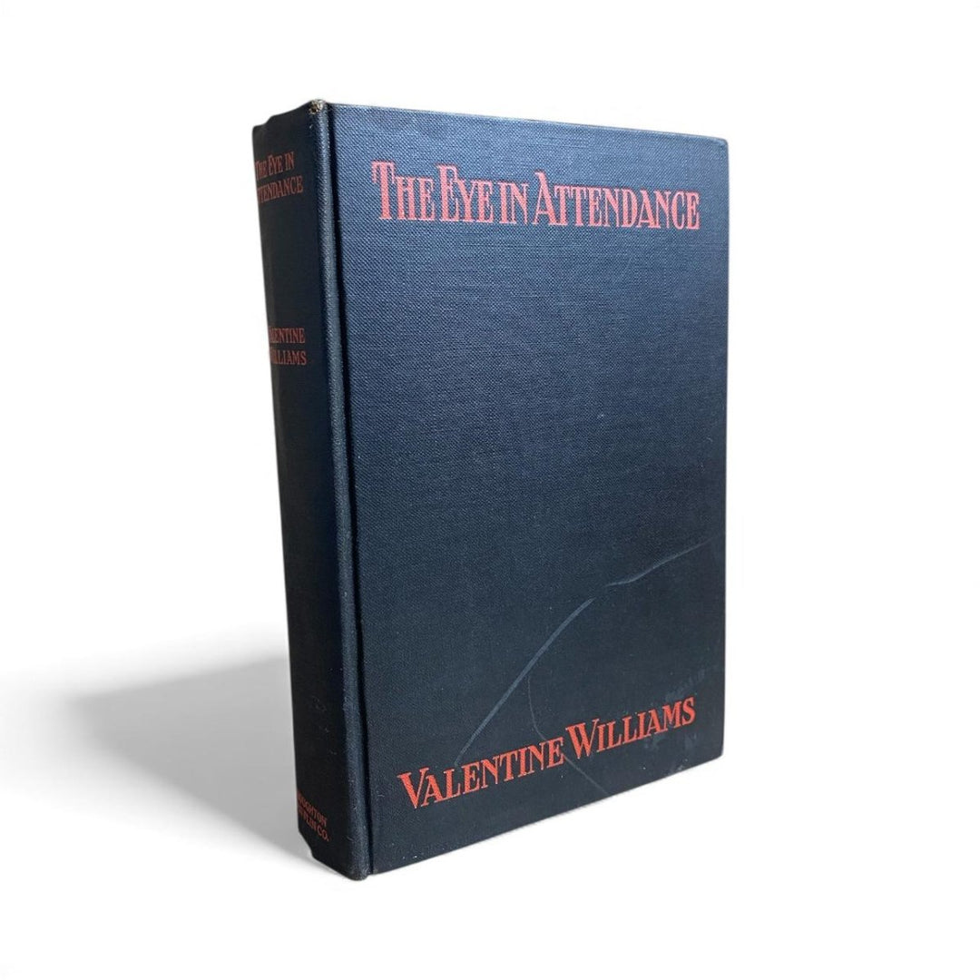 Williams, Valentine - The Eye in Attendance | image3