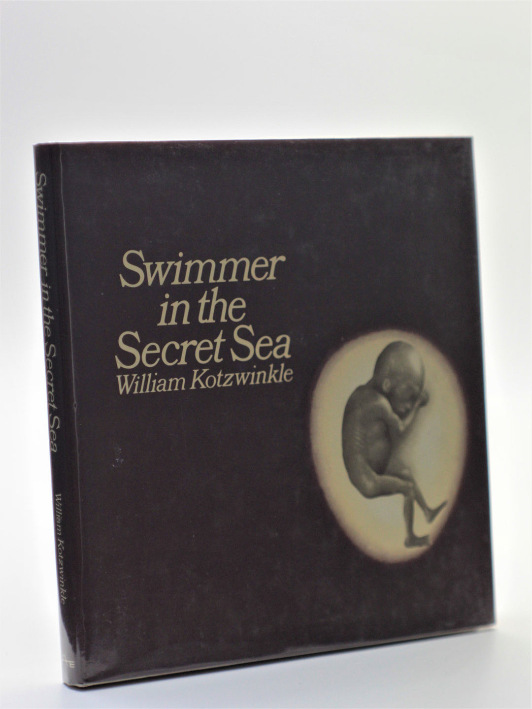 Kotzwinkle, William - Swimmer in the Secret Sea | back cover