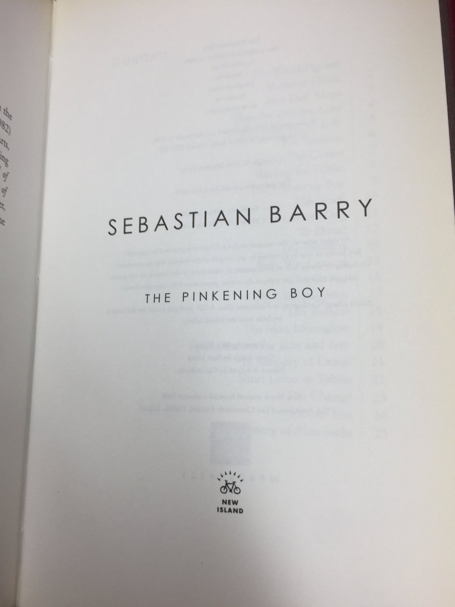 Barry, Sebastian - The Pinkening Boy | image4