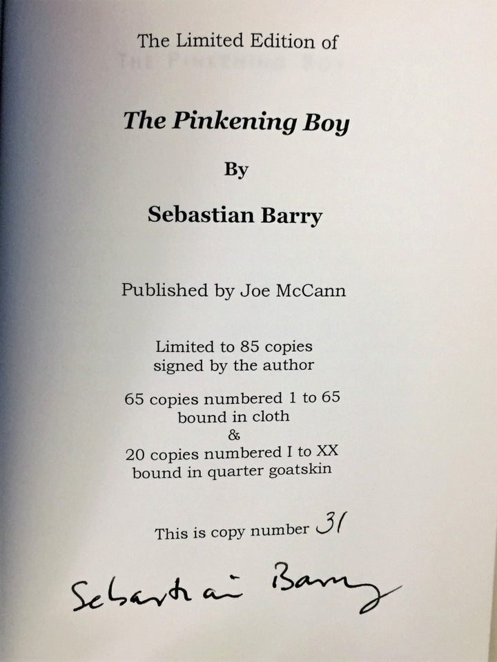 Barry, Sebastian - The Pinkening Boy | sample illustration