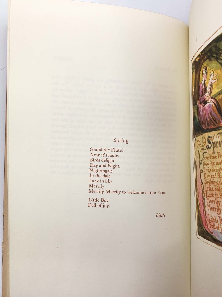 Blake, William - Songs of Innocence and Experience | image4