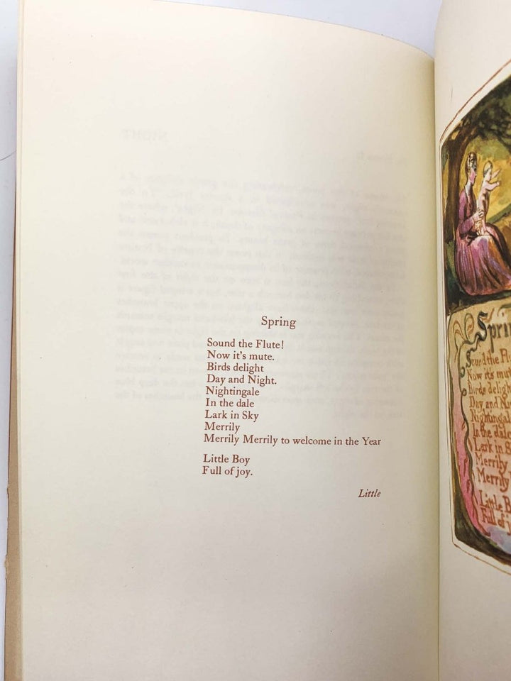 Blake, William - Songs of Innocence and Experience | image4