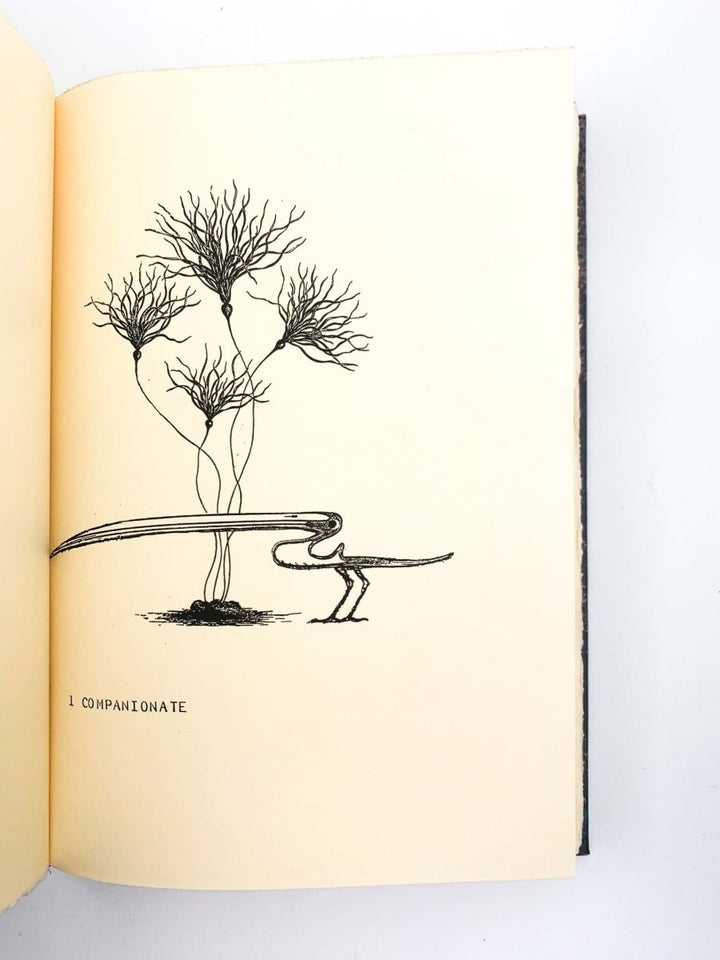 Cox, Morris - Oneiric Sketchbook | book detail 5