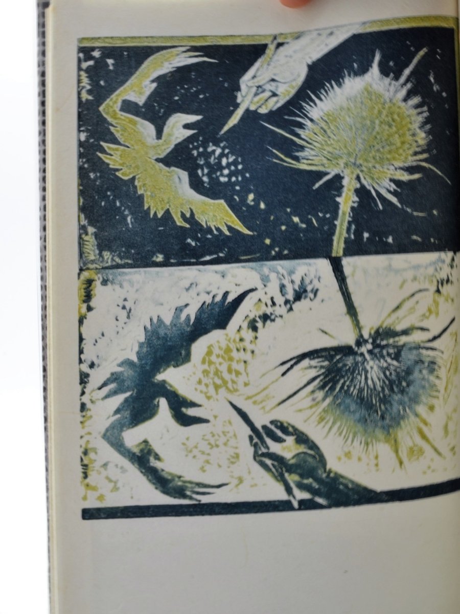 Cox, Morris - Poems 1970 - 1971 | pages