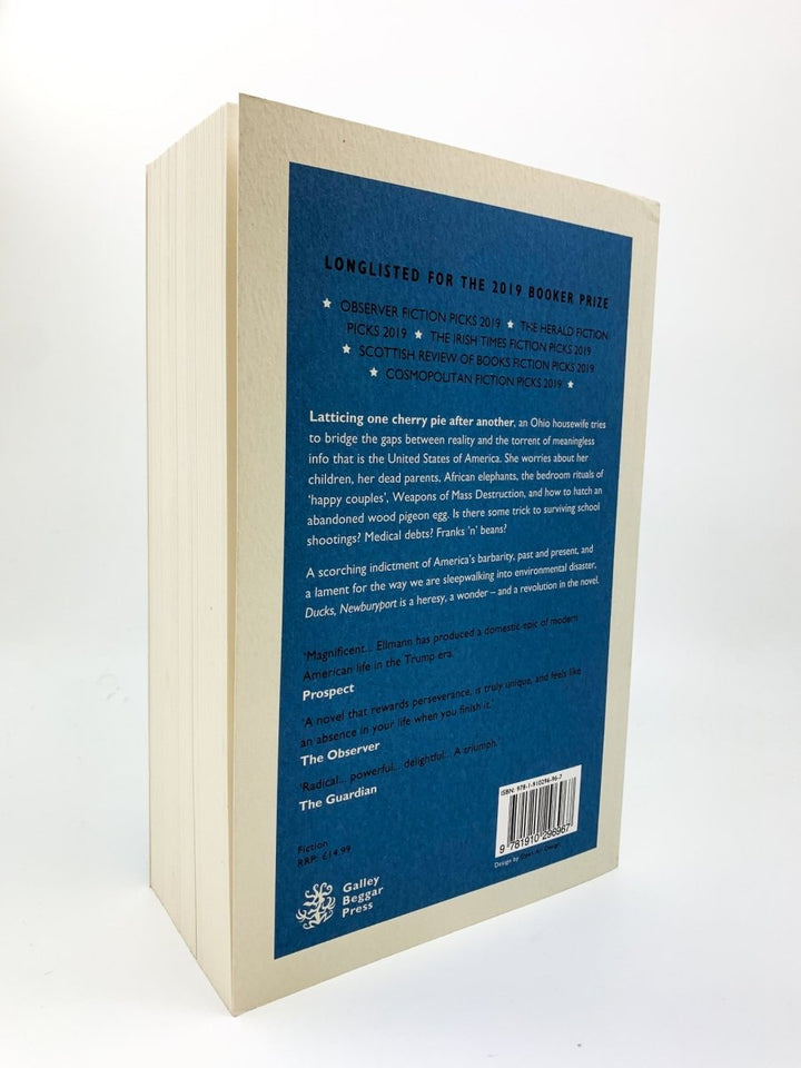 Ellmann, Lucy - Ducks, Newburyport | back cover