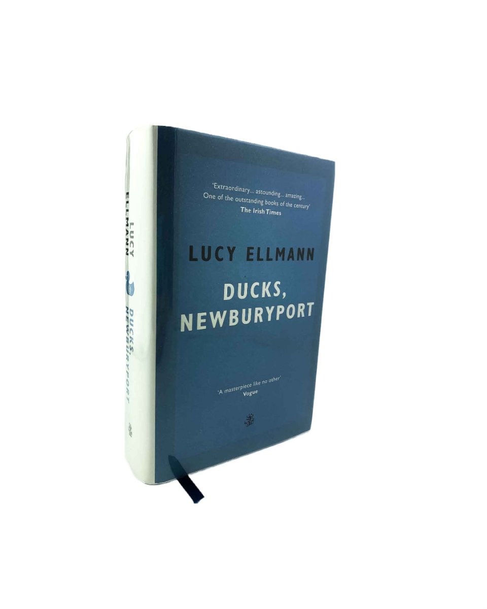 Ellmann, Lucy - Ducks, Newburyport | image1