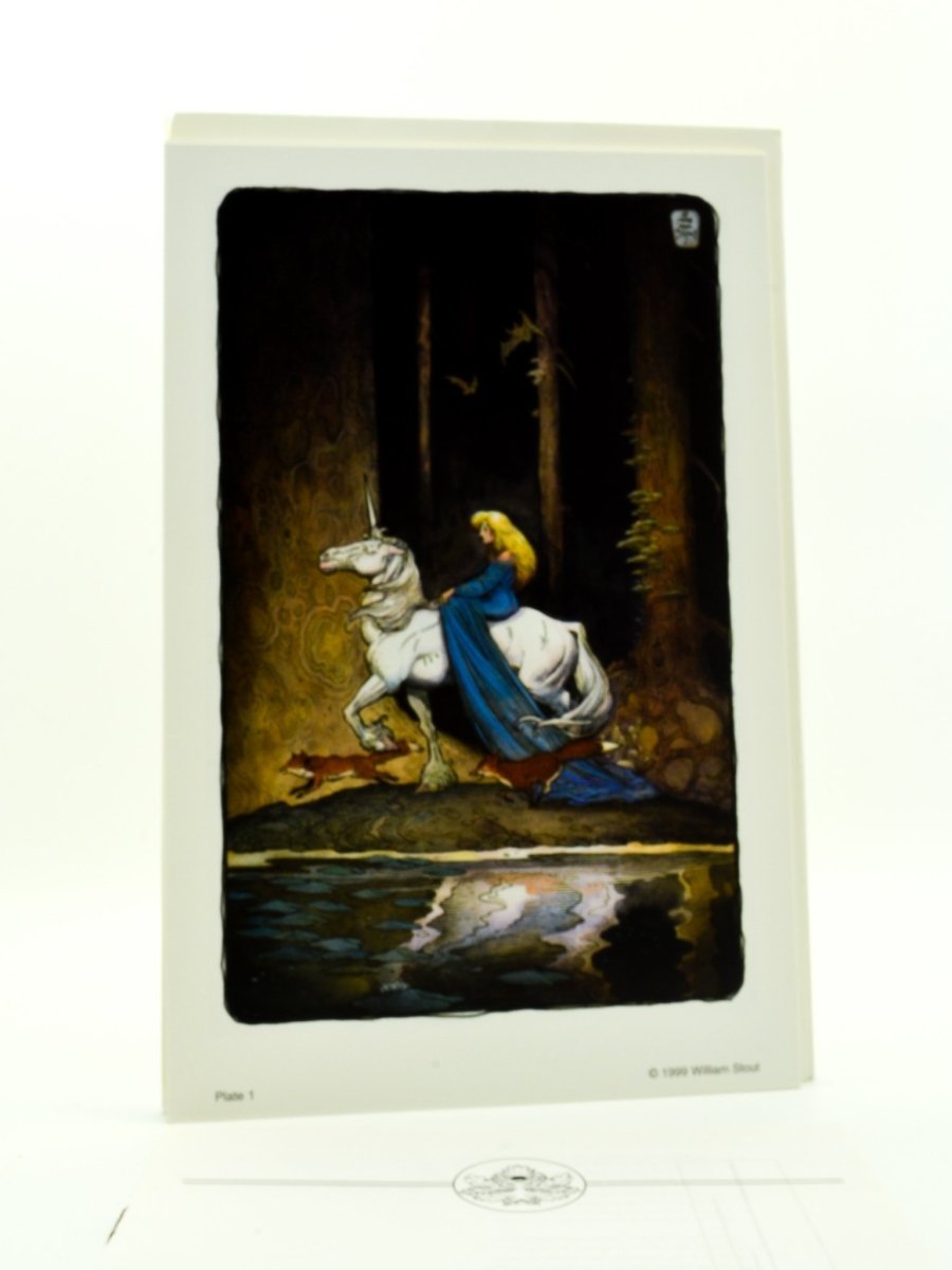 Gaiman, Neil ; Clarke - A Fall of Stardust - SIGNED | image4