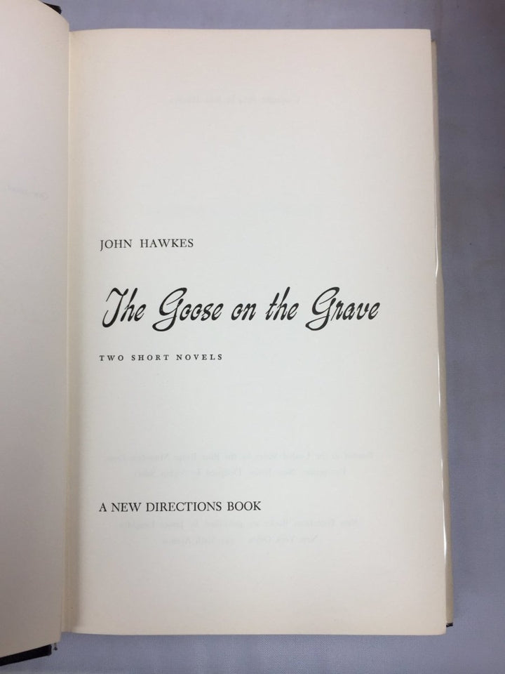 Hawkes, John - The Goose on the Grave | sample illustration
