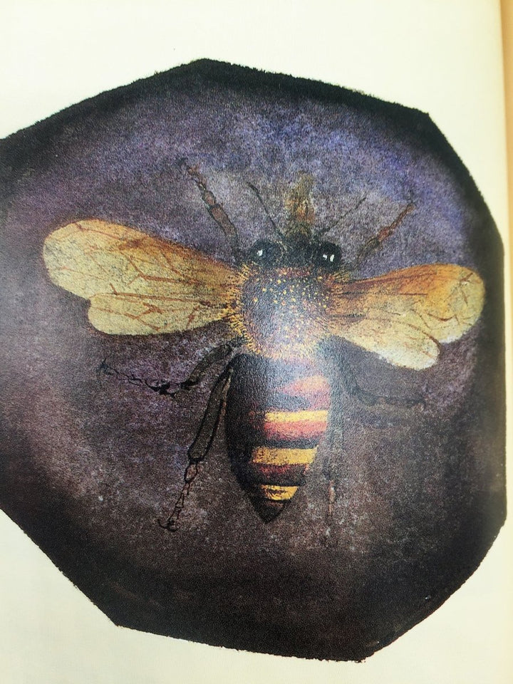 Hughes, Ted - Flowers and Insects | book detail 5