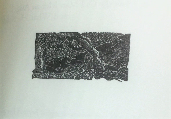 Macneill, Alyson - Twenty Three Wood Engravings for The Song of the Forest | sample illustration
