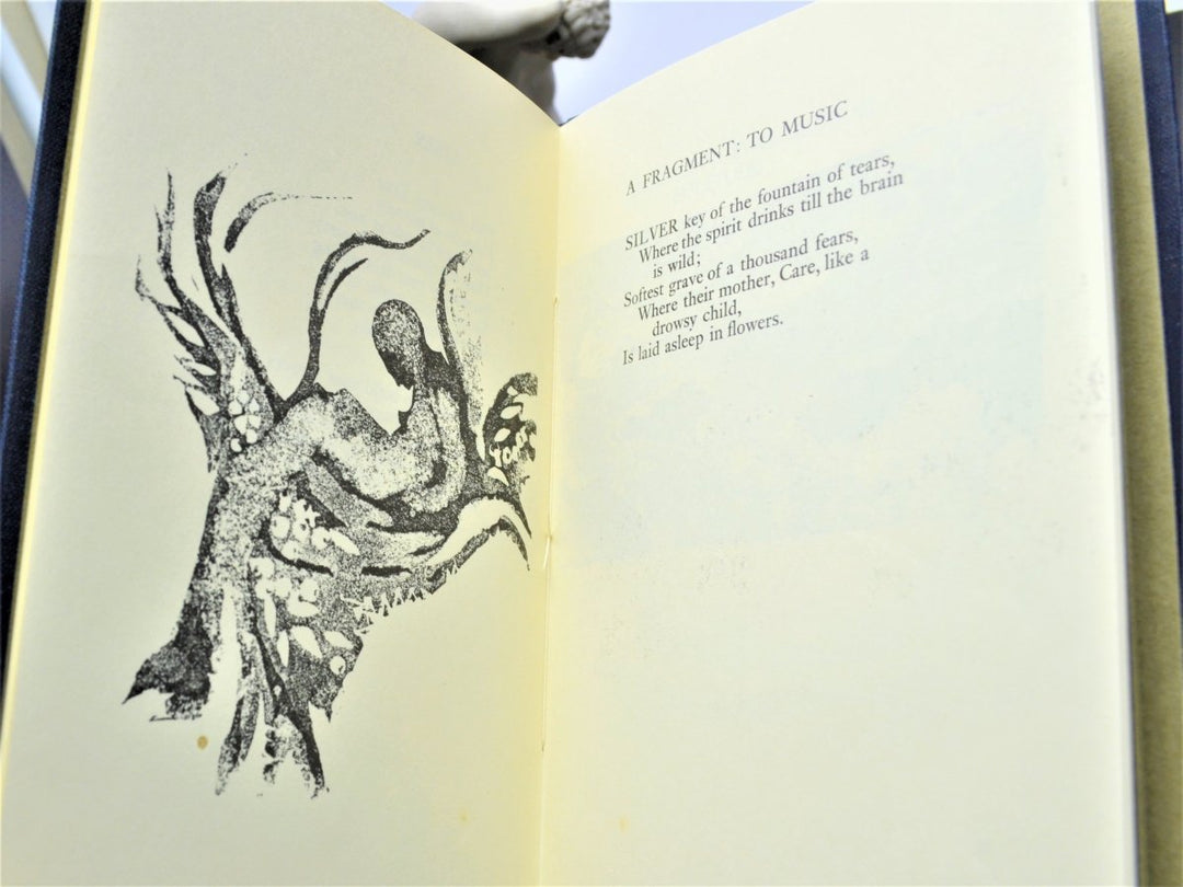 McLean, Janet ( edits ) - Lines of Vision : Irish Writers on Art | sample illustration