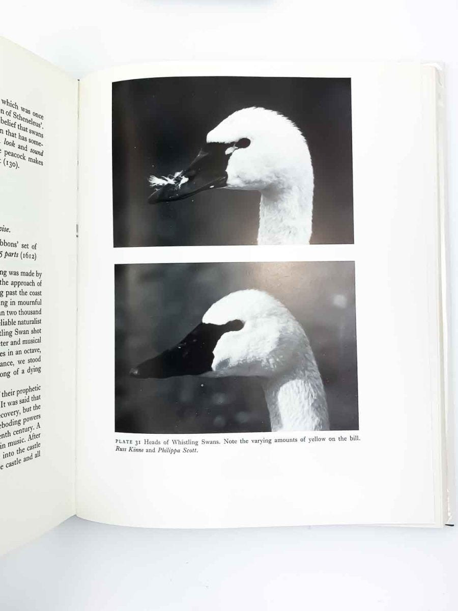 Scott, Peter and the Wildfowl Trust - The Swans - SIGNED | image5