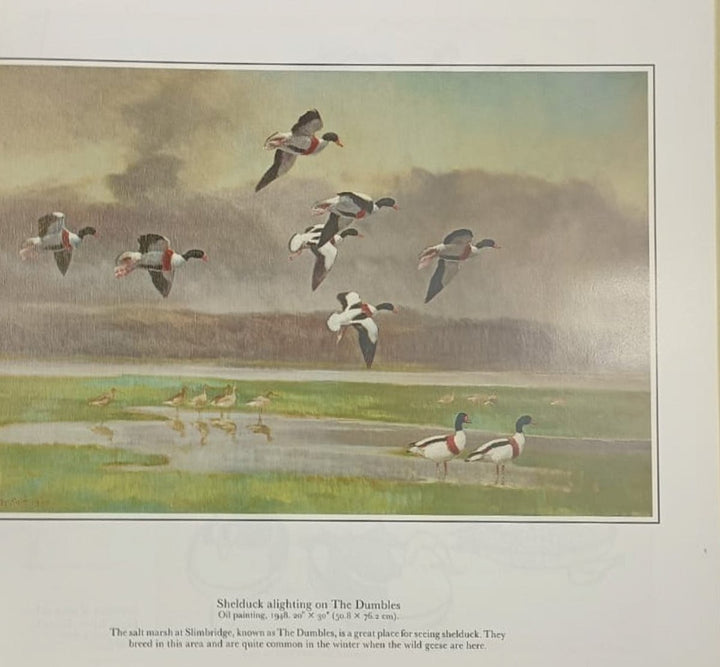 Scott, Phillipa - The Art of Peter Scott : Images from a Lifetime - SIGNED | pages