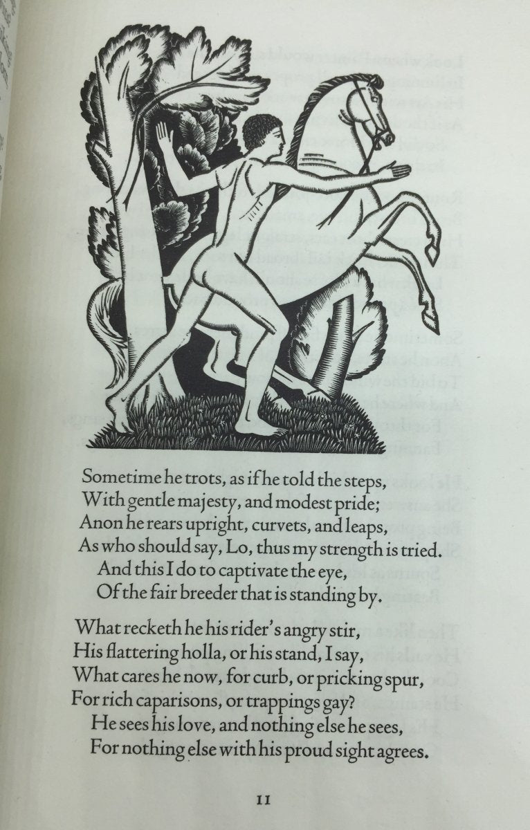 Shakespeare, William - Venus and Adonis | sample illustration