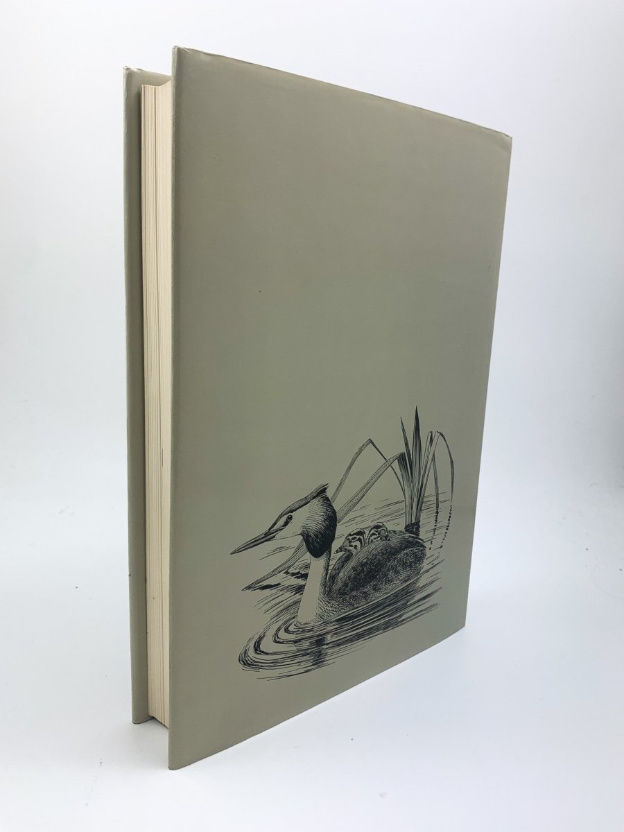 Simms, Eric - A Natural History of British Birds - SIGNED | image2