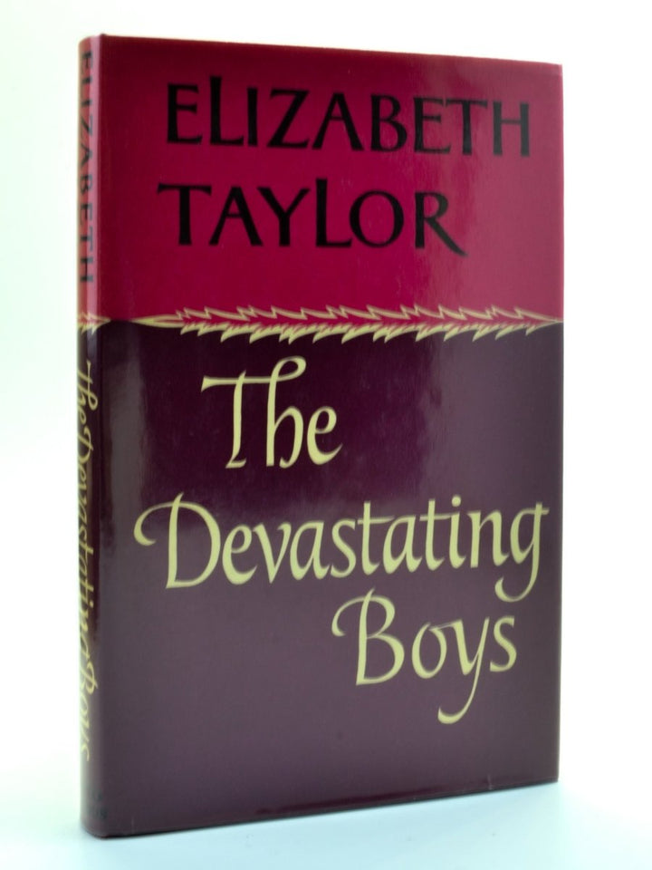 Taylor, Elizabeth - The Devastating Boys | front cover