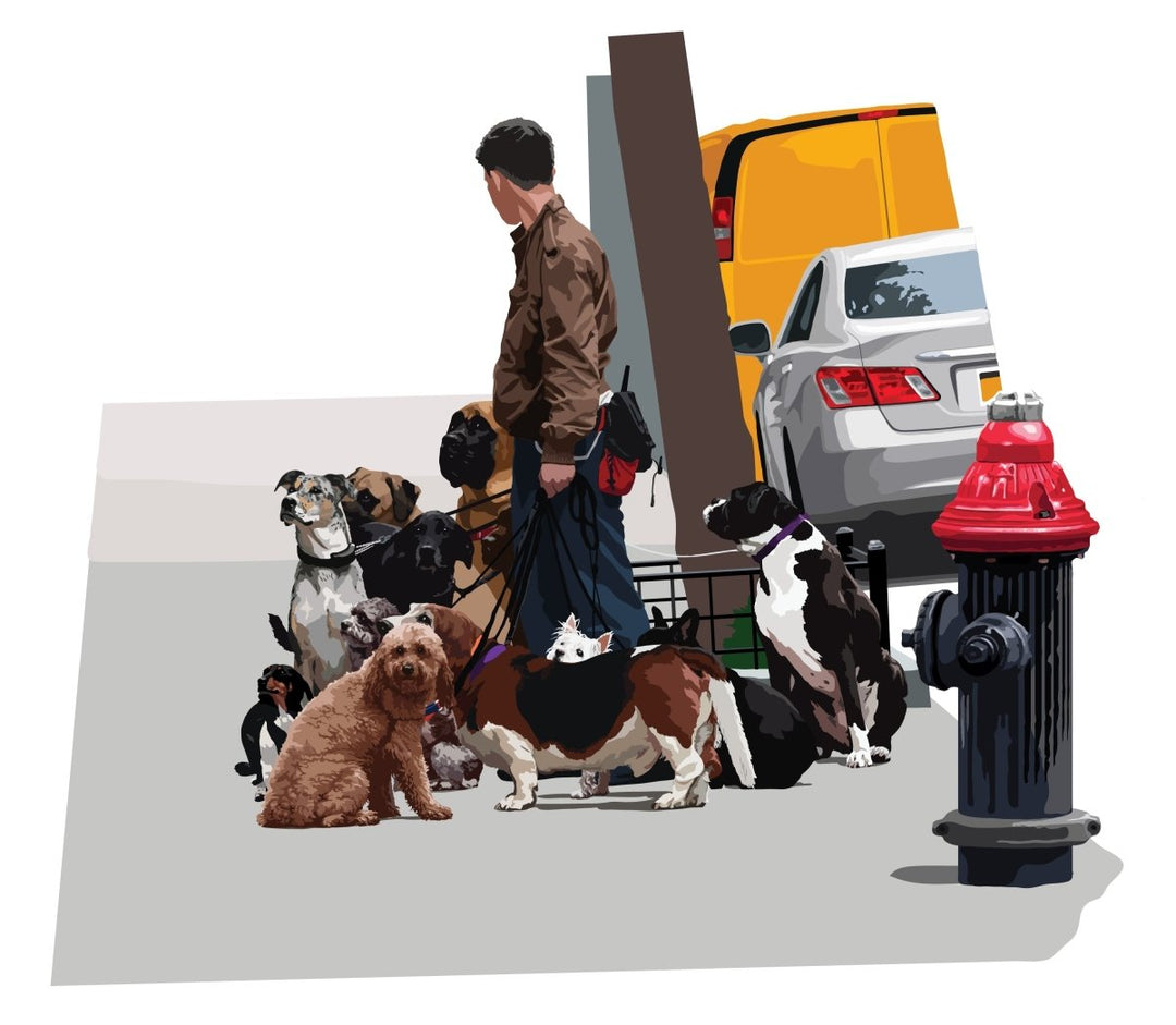 The Dog Walker, NY | image1 | Signed Limited Edtion Print